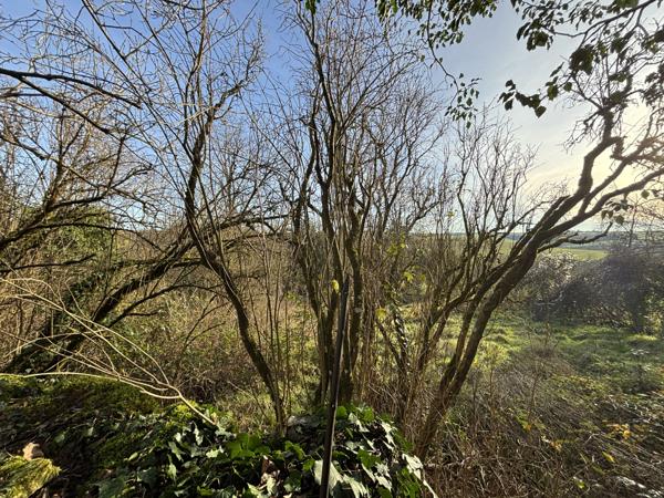 Proche de Baigneux les juifs : maison de 80m² avec un jardin , une dépendance et un terrain non attenant. Orret (21450)