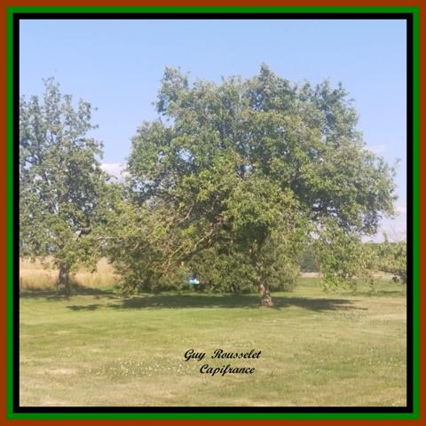 " PROPOSITION MODULAIRE 1" Propriété à vendre 9 pièces + Ateliers et Hangars Annexes COURCELLES LES SEMUR (21)