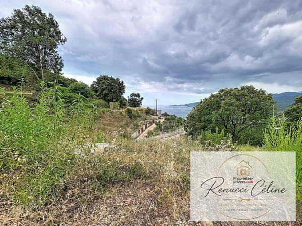 Terrain constructible avec PC purgé à Calcatoggio