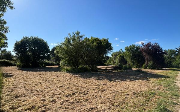 Terrain à vendre