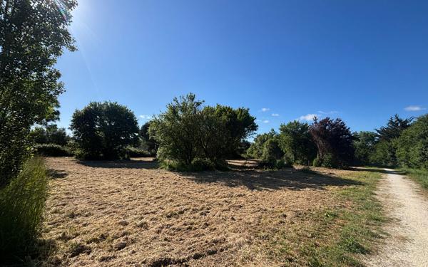 Terrain à vendre