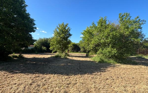 Terrain à vendre