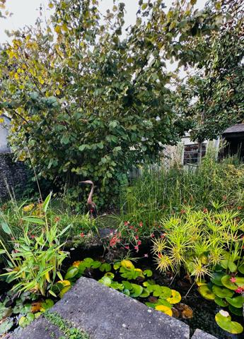 NANTES ZOLA, NOUVEAUTE, RARE en IMPASSE, maison COUP DE COEUR, MAGNIFIQUE JARDIN et beau POTENTIEL