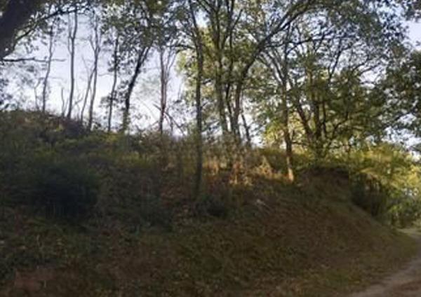 Terrain - 4639 m² Exclusivité efficity