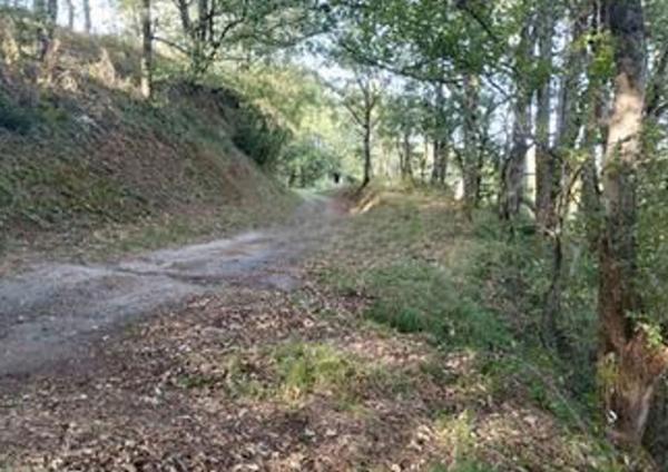 Terrain - 4639 m² Exclusivité efficity