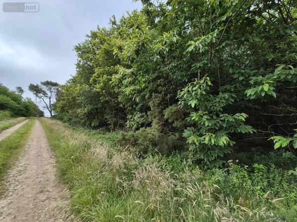 Achat - Terrain de loisirs, bois, étangs Saint-Servant 56120 12400 m 2