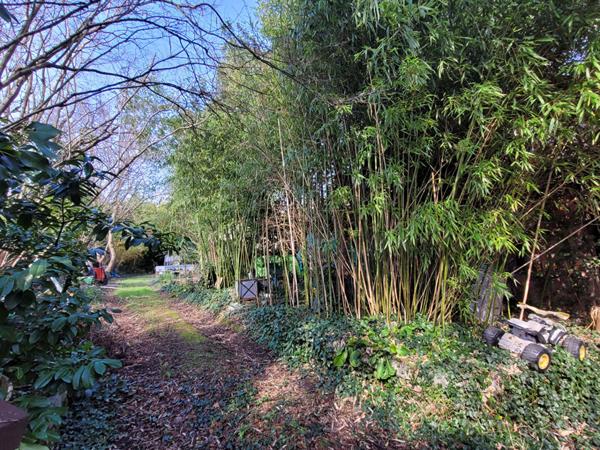 Maison de 139 m²+ local commercial - CENTRE VILLE