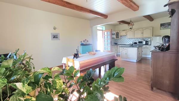 Ventenac-en-Minervois (11120) À acheter à Ventenac-En-Minervois : immense maison avec 4 chambres