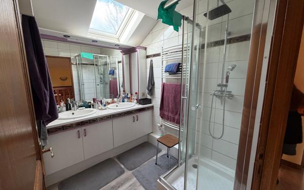 Maison à vendre    11 pièces •  Wisembach