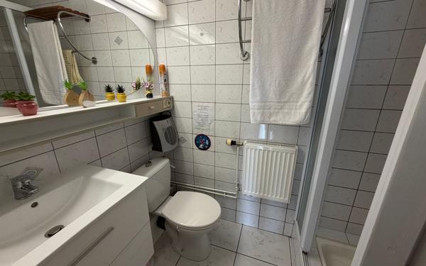 Maison à vendre    11 pièces •  Wisembach