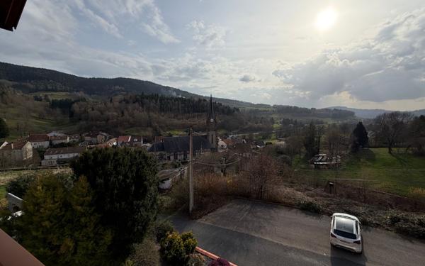 Maison à vendre    11 pièces •  Wisembach