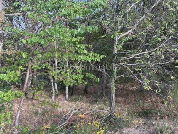 Terrain de 10 850 m²