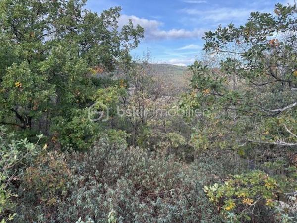 Terrain de 10 850 m²