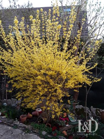 Maison individuelle en impasse