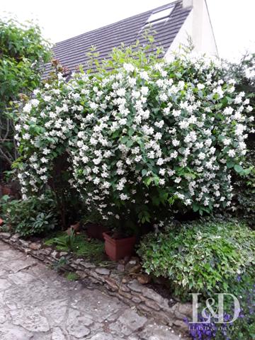 Maison individuelle en impasse