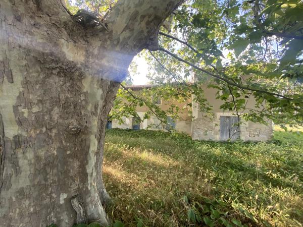 Vente Maison 5 pièces 240 m2 à Sénas