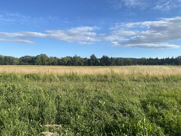 Vente Maison 5 pièces 240 m2 à Sénas