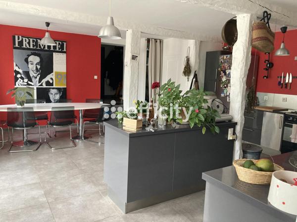 Maison 8 pièces - 195 m² Bien prestige