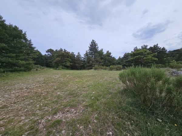 Vente / Terrain
