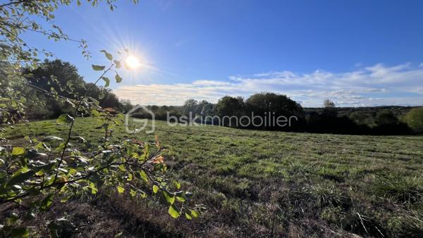 Le magnifique département de la Dordogne vous accueille en Périgord Noir sur la commune de Châtres. 
Un environnement champêtre et une qualité de vie que l'on nous envie.
Accès en quelques minutes aux autoroutes, toutes les commodités à moins d'1/2 heure et surtout : La Tranquilité.
Alors, vous qui avez un projet de construction, venez donc bâtir votre futur ici 🎯
Je vous propose ce magnifique terrain légèrement en pente, offrant une jolie vu dégagée, et exant de voisinage trop prohe.
Imaginez dèjà les enfants jouer, les soirées entre amis et les souvenirs inoubliables.
Allez, je vous emmène pour une visite séduction.