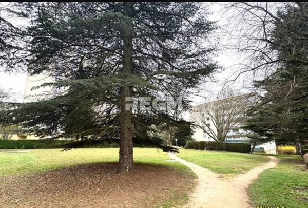 Ris-Orangis (91130) VASTE APPARTEMENT AVEC GRAND BALCON AU MILIEU D UN PARC