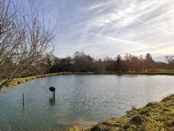 Maison du Périgord avec maison d'amis, 2 étangs, 4 ha