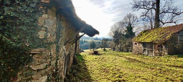 Maison et 2 dépendances séparées à rénover!