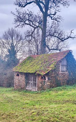 Maison et 2 dépendances séparées à rénover!