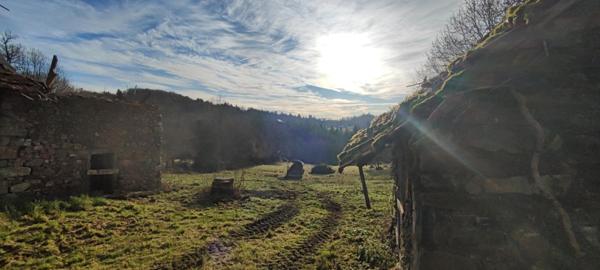 Maison et 2 dépendances séparées à rénover!