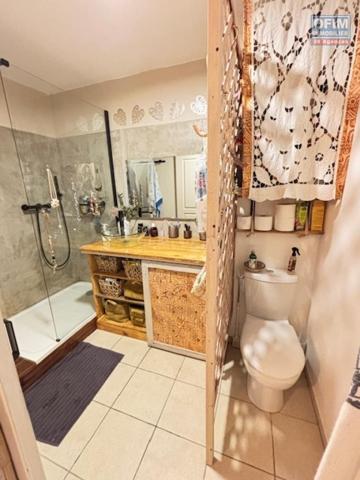 A vendre appartement T2 ,refait récemment, centre de La Montagne,à proximité de tous les commerces, écoles...