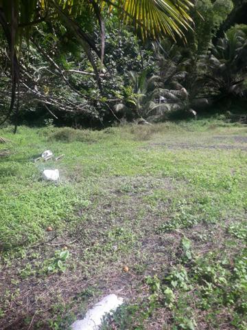 TERRAIN PLAT A FORT POTENTIEL