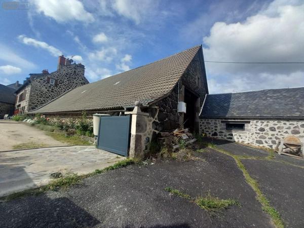 Local mixte (Pro/Hab) à vendre à Murat dans le Cantal (15300), ref : FG/2217