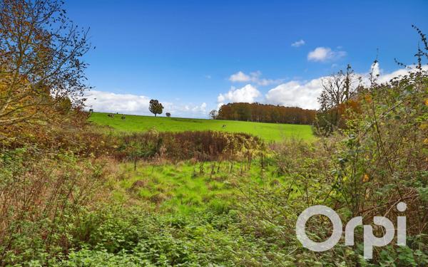 Maison à vendre    7 pièces • 271,23 m2 Chaumont-en-Vexin