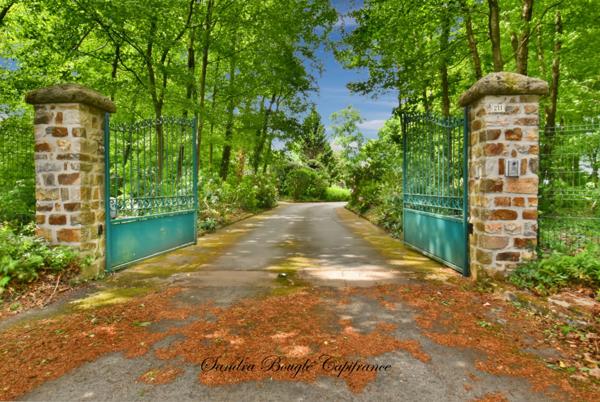 Propriété à vendre 12 pièces VITRE (35)