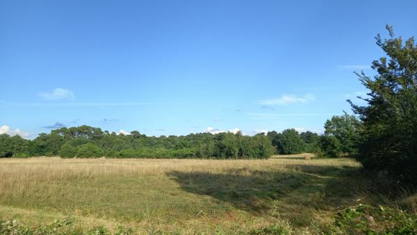 Terrain dans un village à 10 minutes de Montpon Ménestérol 1820 m2.