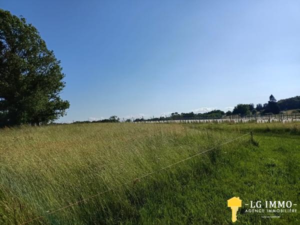 Votre recherche de biens