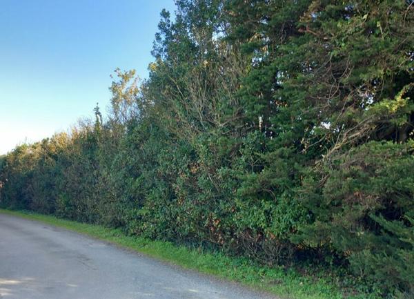 Terrain à vendre    Saint-Georges-d'Oléron