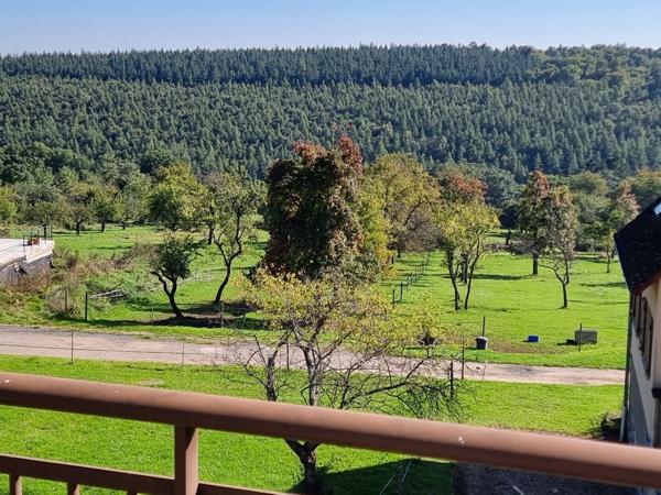 Maison 7 pièces sur 12 ares à Mollkirch