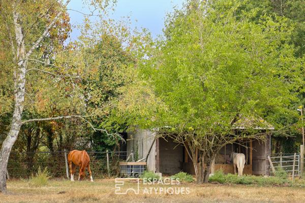 Propriété en pierre avec installations équestres, logements insolites et Spa