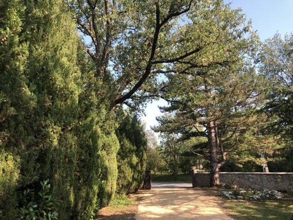 Maison à vendre |  Sorèze |  4 pièces | 136 m²