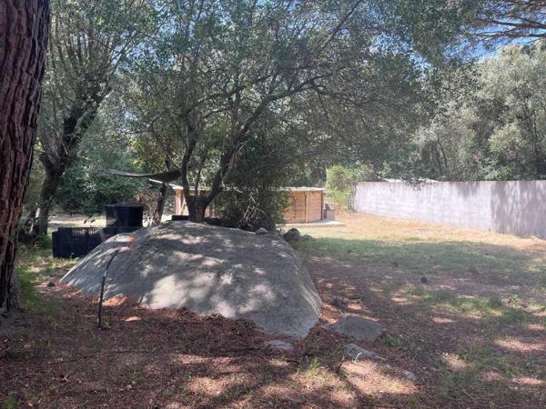 Vente / Appartement T4