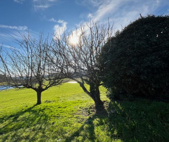 Grange en pierre à rénover + étang – Vue panoramique