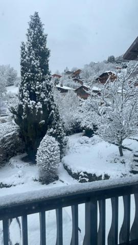 Vue, proximité des commerces