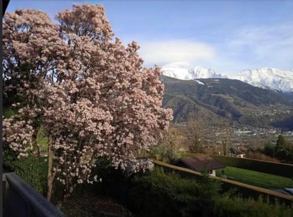 Vue, proximité des commerces