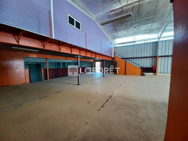 Location local commercial Kourou - 790 m² - 8 000 €/mois