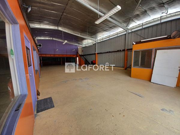 Location local commercial Kourou - 790 m² - 8 000 €/mois