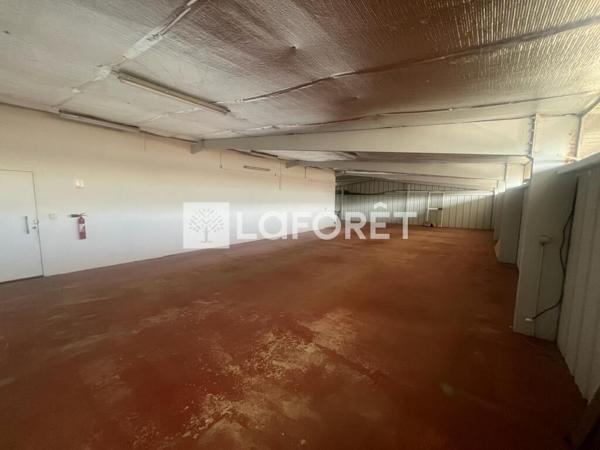 Location local commercial Kourou - 790 m² - 8 000 €/mois