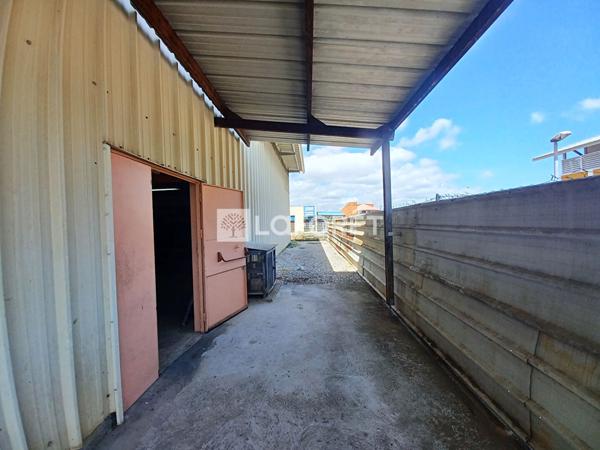 Location local commercial Kourou - 790 m² - 8 000 €/mois