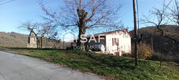 Un petit coin paisible au milieu de la verdure.