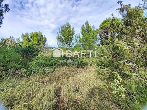 Propriété rare au fort potentiel